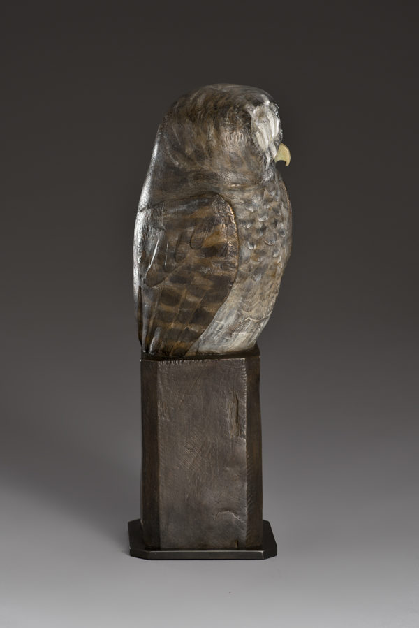 "Wounded Owl"